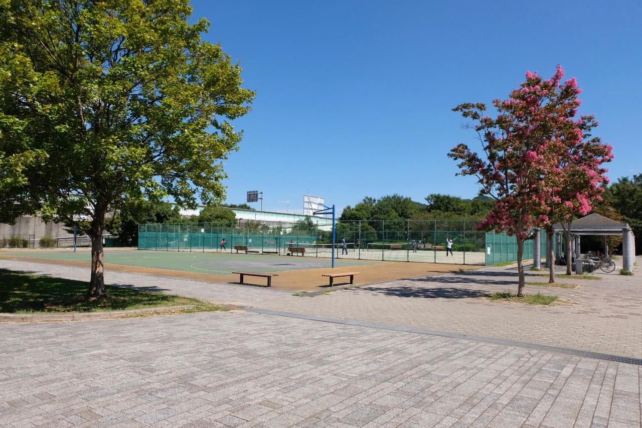 高浜総合公園のテニスバスケットコート