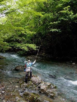 【市内全域】 揖保川・千種川 アマゴ釣り 解禁