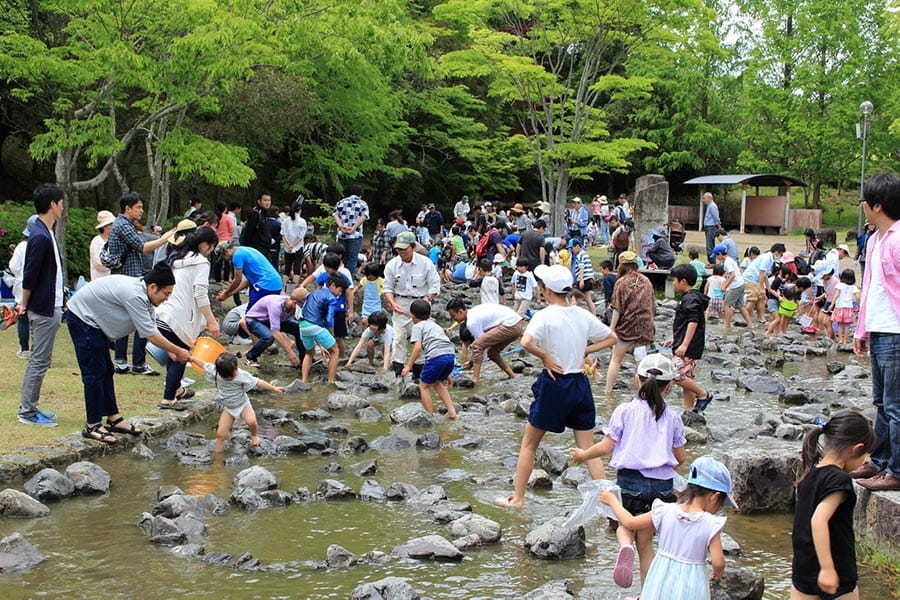 新緑・こどものまつり