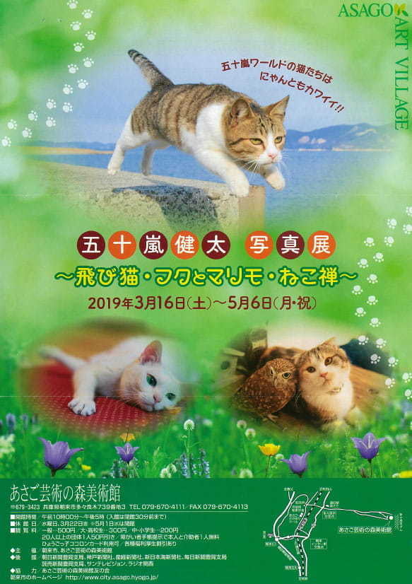 「五十嵐健太写真展～飛び猫・フクとマリモ・ねこ禅～」