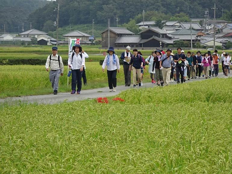 令和元年度東条山田錦の里探訪ウォーク