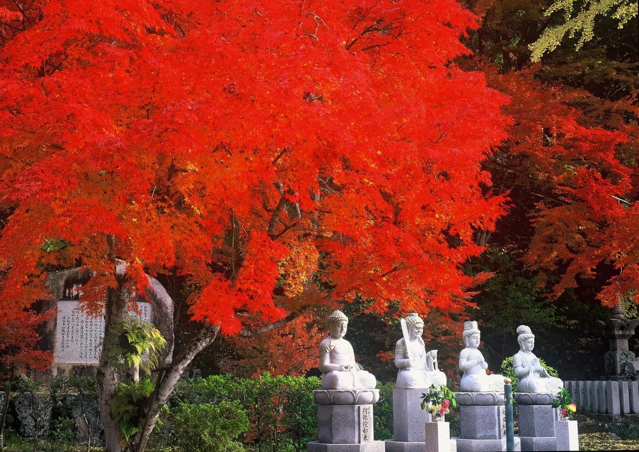 清林寺もみじまつり