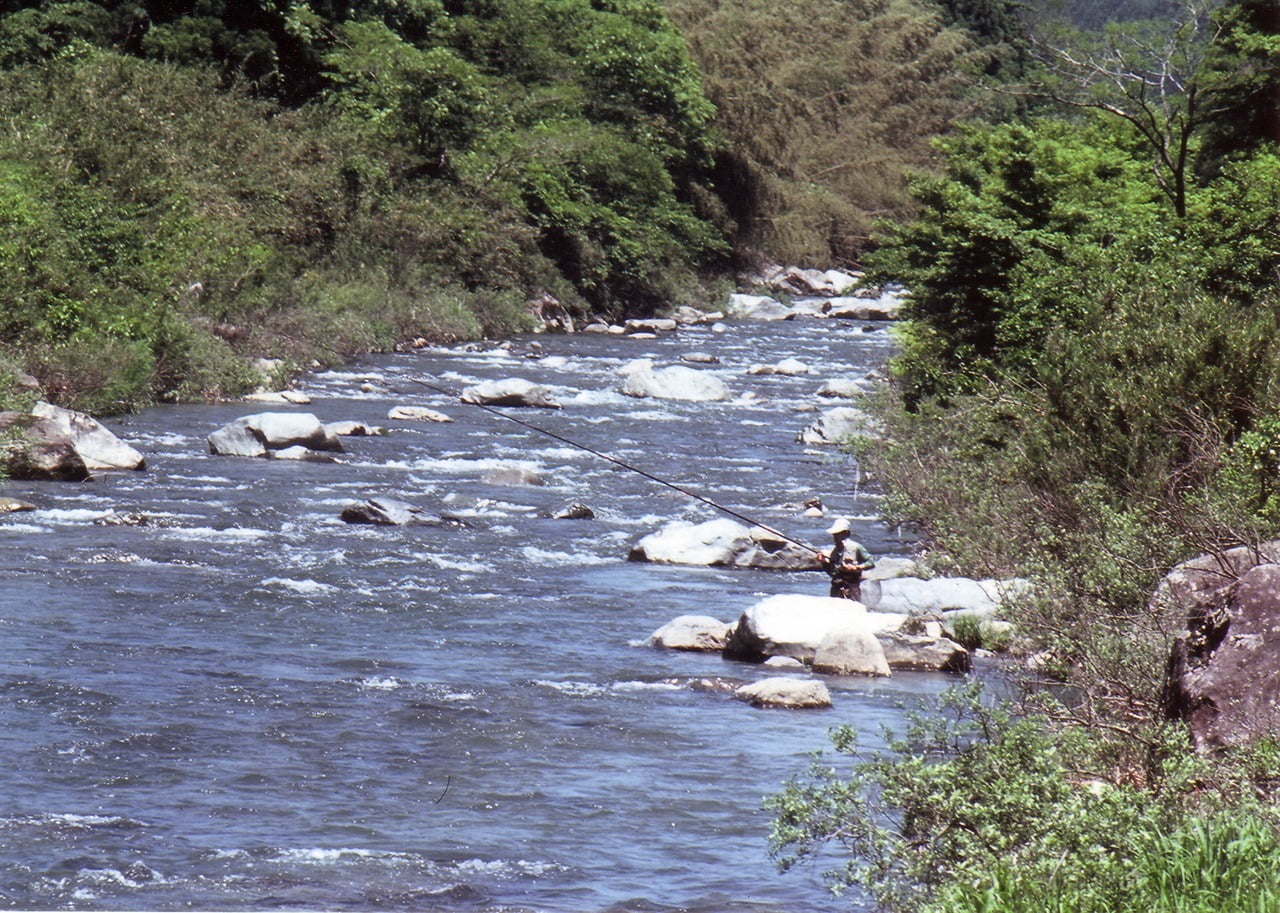 揖保川・千種川アマゴ釣り解禁