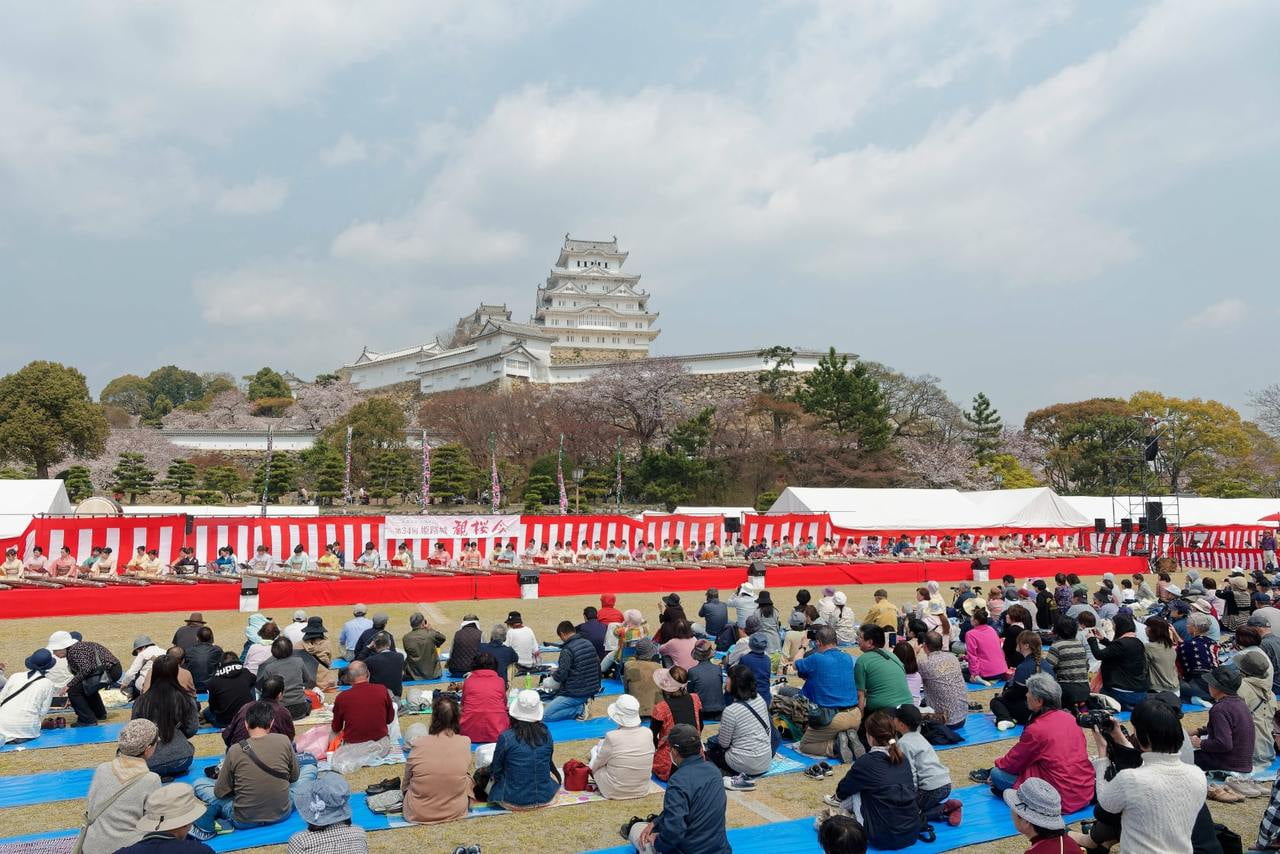 第35回 姫路城観桜会