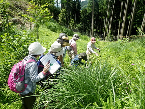 県立国見の森公園プログラム アサギマダラの舞う森づくり ※プログラムの中止・内容変更の可能性あり