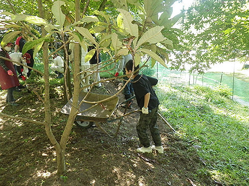 県立国見の森公園プログラム　山野草を育てよう　※プログラムの中止・内容変更の可能性あり