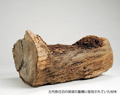 企画展「発掘された明石の歴史展~明石の港津~」