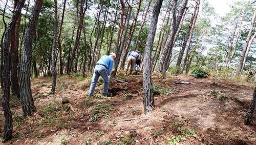 県立国見の森公園プログラム　国見マツタケ山整備 ボランティア活動