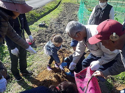 県立国見の森公園プログラム　自然薯の収穫とトロロ飯