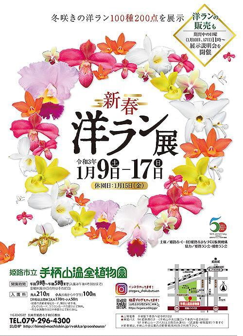 新春洋ラン展
