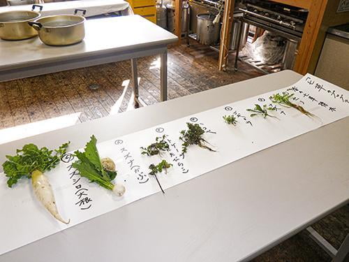 県立国見の森公園プログラム 春の七草粥を食べよう