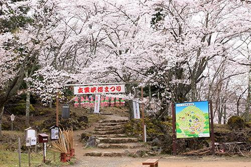 立雲峡桜まつり