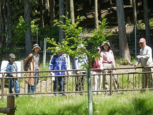 県立国見の森公園プログラム 国見の春 自然観察会