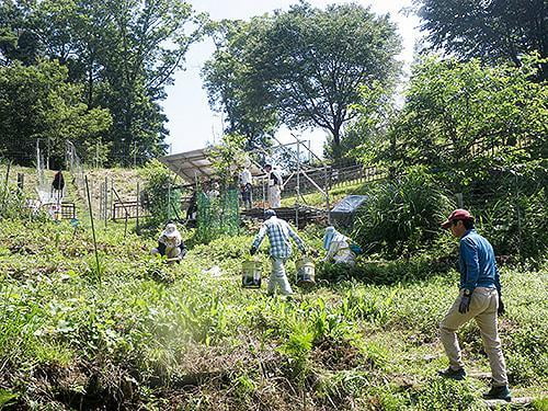 県立国見の森公園プログラム　アサギマダラの舞う森づくり