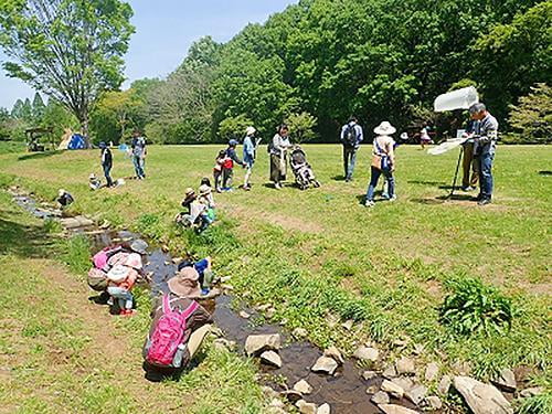 三木山自然観察会・春