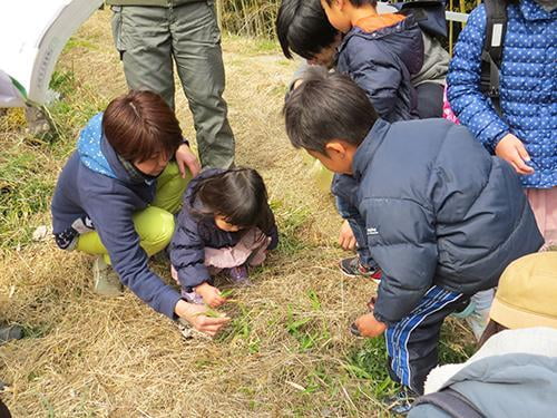 【中止】山菜祭り