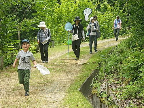 【中止】県立国見の森公園プログラム　蝶と植物観察会