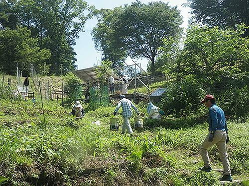 【中止】県立国見の森公園プログラム アサギマダラの舞う森づくり