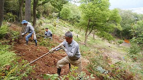 【中止】県立国見の森公園プログラム　栗園の整備