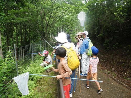 【中止】県立国見の森公園プログラム 国見で昆虫を探そう