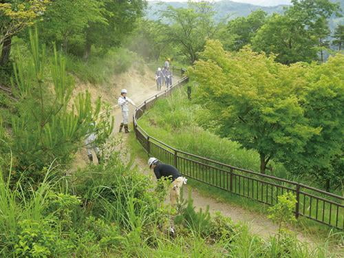 県立国見の森公園プログラム　遊歩道の整備　ボランティア活動