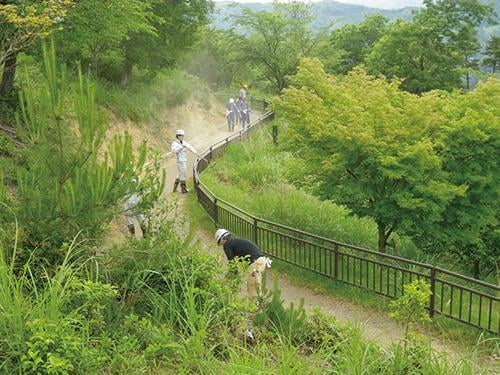 県立国見の森公園プログラム 遊歩道の整備 ボランティア活動