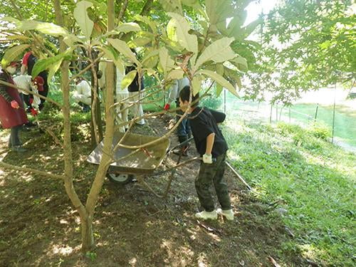 県立国見の森公園プログラム 山野草を育てよう