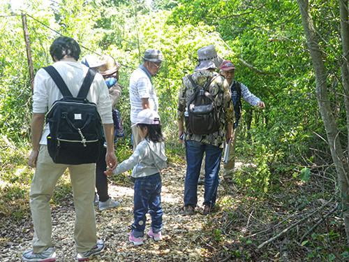 県立国見の森公園プログラム　国見の夏　自然観察会