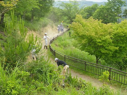 県立国見の森公園プログラム 遊歩道の整備 ボランティア活動