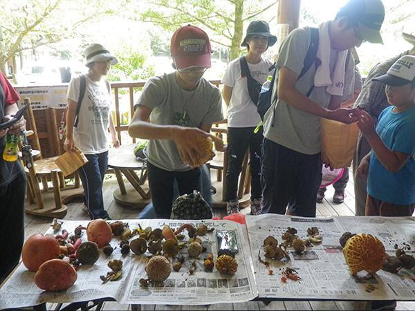 県立国見の森公園プログラム 初秋の森のきのこ観察会