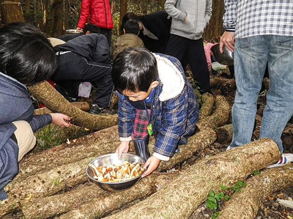 県立国見の森公園プログラム 国見キノコ園収穫とキノコ料理