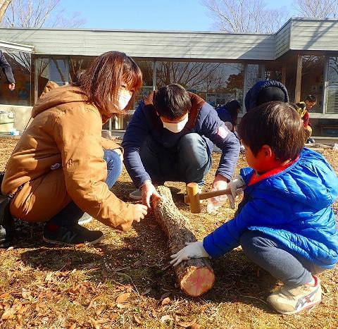 三木山の木でシイタケを自家栽培