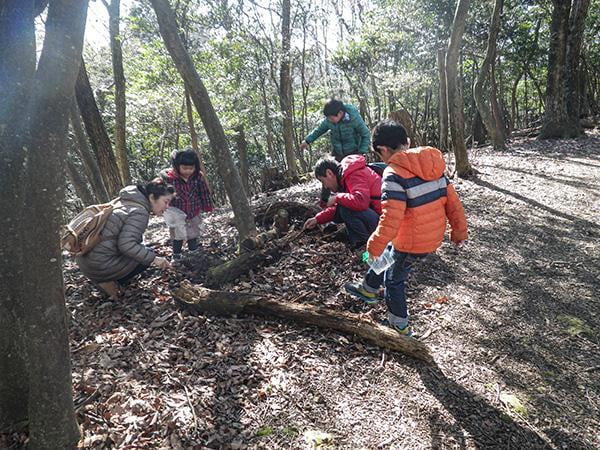県立国見の森公園プログラム 国見の初春 自然観察会