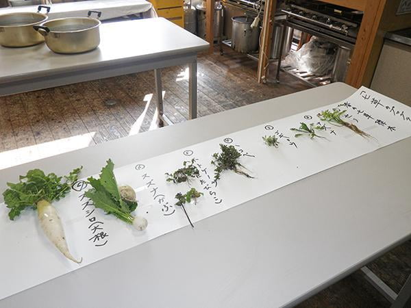 県立国見の森公園プログラム 春の七草粥を食べよう