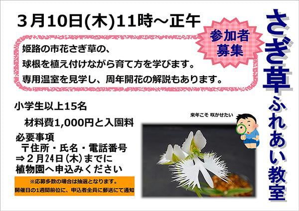 ［募集］さぎ草ふれあい教室