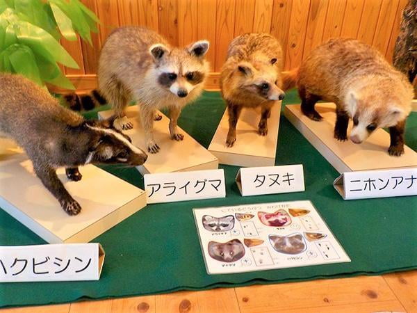 野生動物との共生(ジビエ料理)を学ぶ