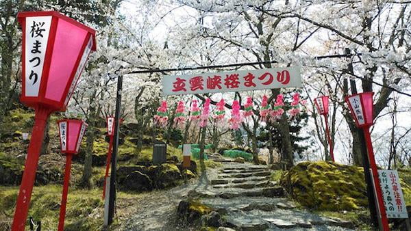 立雲峡桜まつり