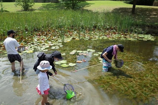 水辺の生きものたち