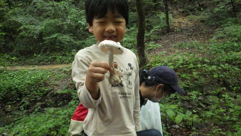 秋のキノコ山探検