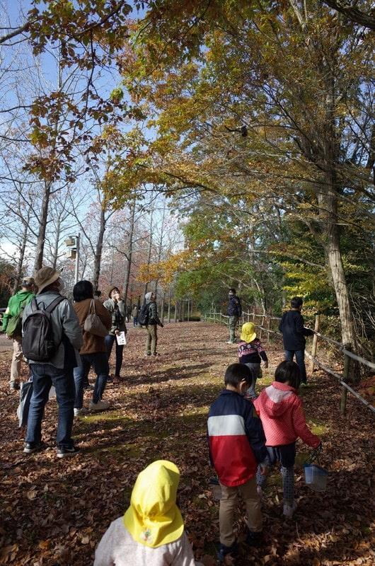 三木山自然観察会・秋