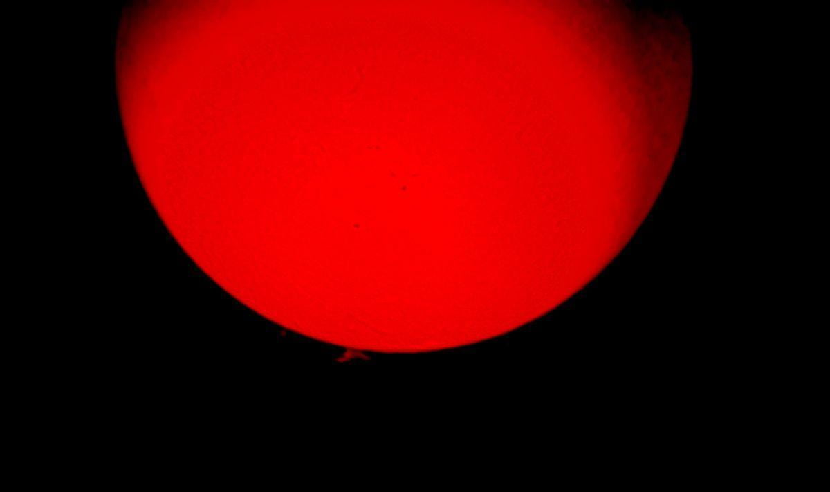 昼間の星と太陽の観察会