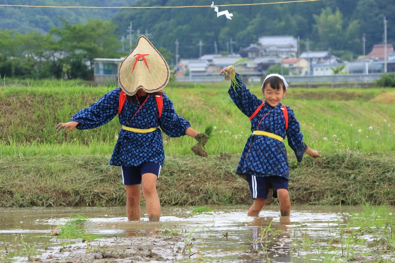 お田植祭