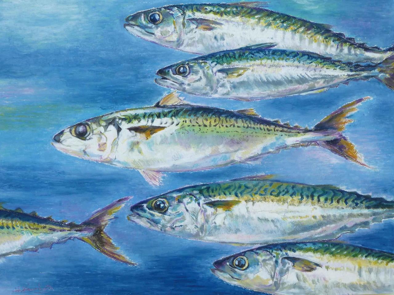 企画展「瀬戸内の魚たち ~衣畑秀樹オイルパステル画展~」