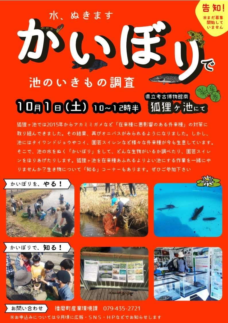 (仮)かいぼりで池のいきもの調査