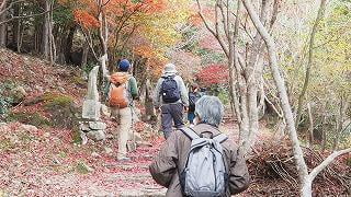 里山紅葉登山