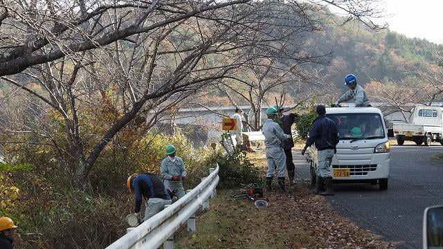 桜を救え　翠明湖下草刈り