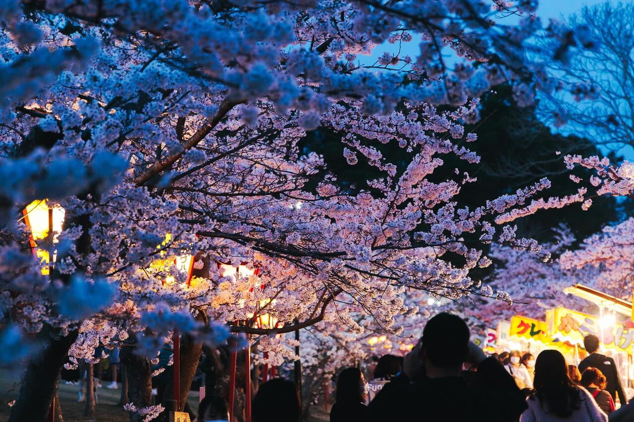 日岡山公園ぼんぼりライトアップ