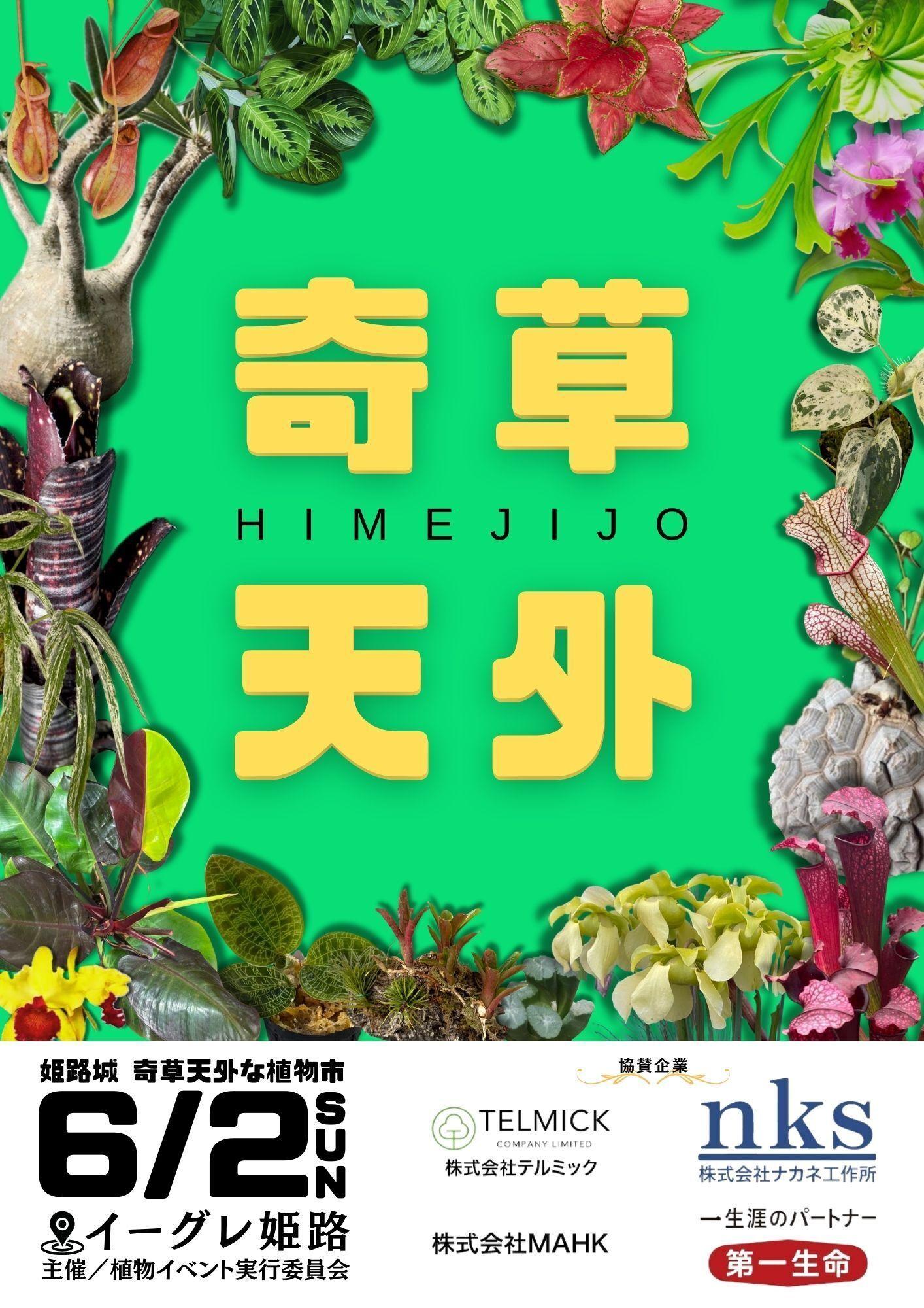 姫路城　奇草天外な植物市