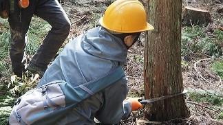 間伐体験 林業のプロのワザを学ぼう!!
