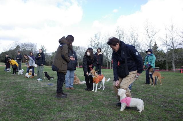楽しく学ぼう 愛犬のお散歩マナー